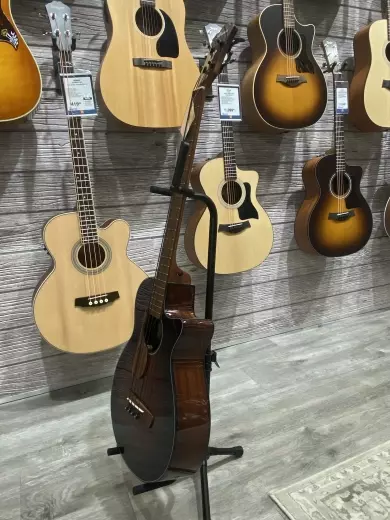 Ibanez - AEGB24EMHS 5